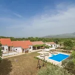 Vitis Zadarvillas *