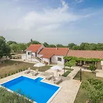 Vitis Zadarvillas Willa *