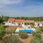 Vitis Zadarvillas *