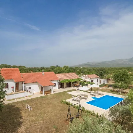 Vitis Zadarvillas *
