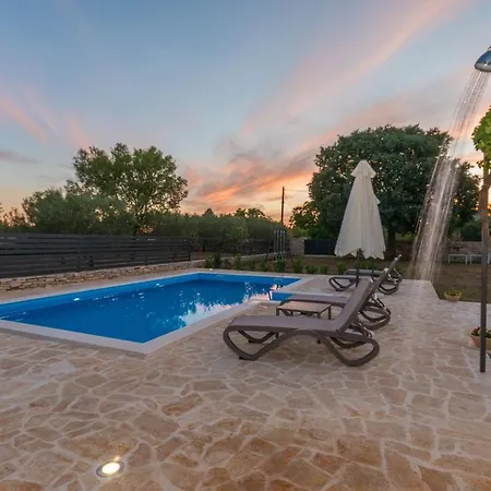 Vitis Zadarvillas *