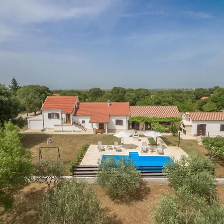 Vitis Zadarvillas *