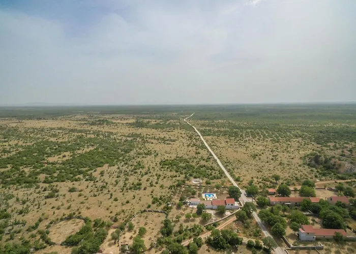 Vitis Zadarvillas Oklaj